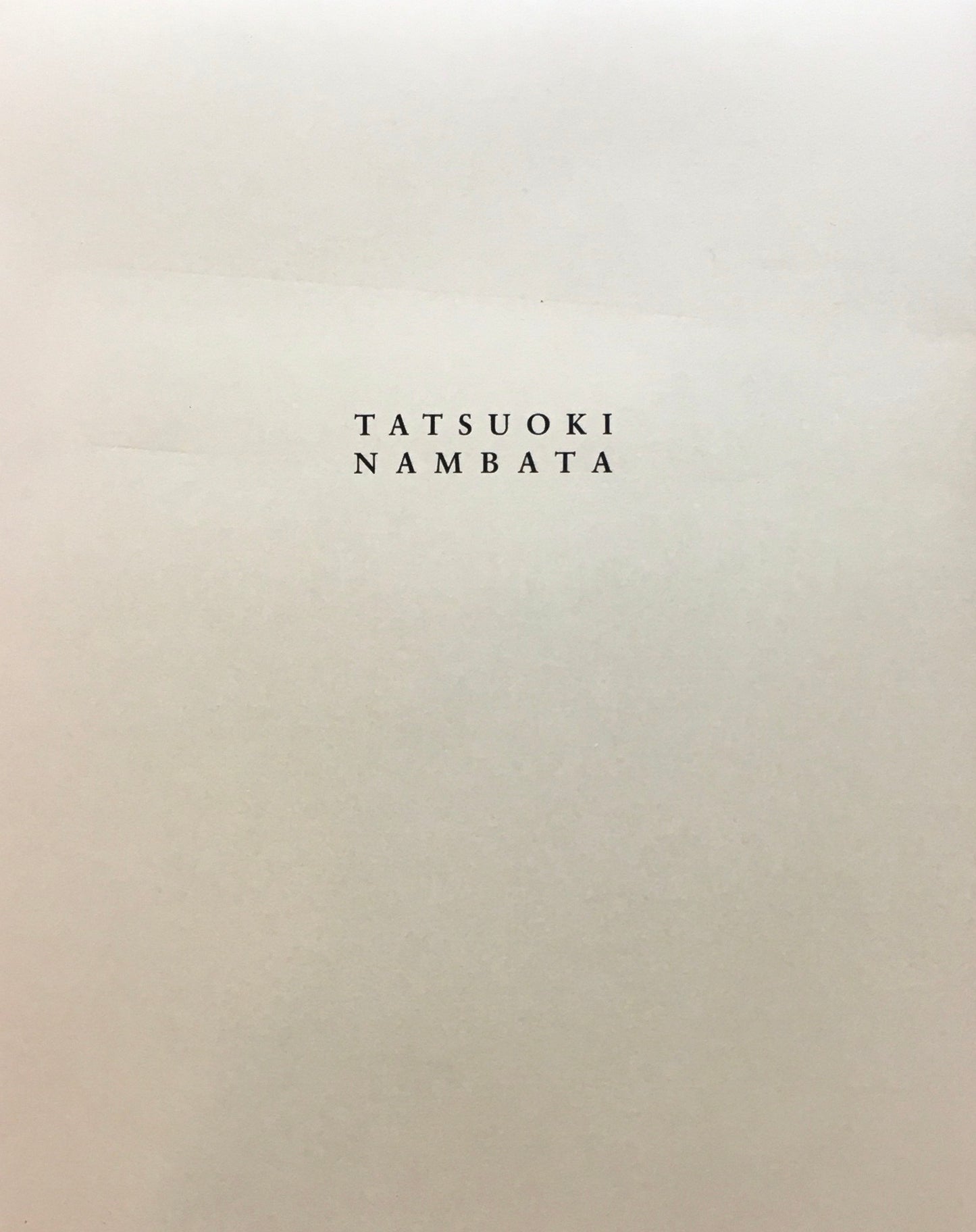 難波田史男・龍起作品集 2冊揃