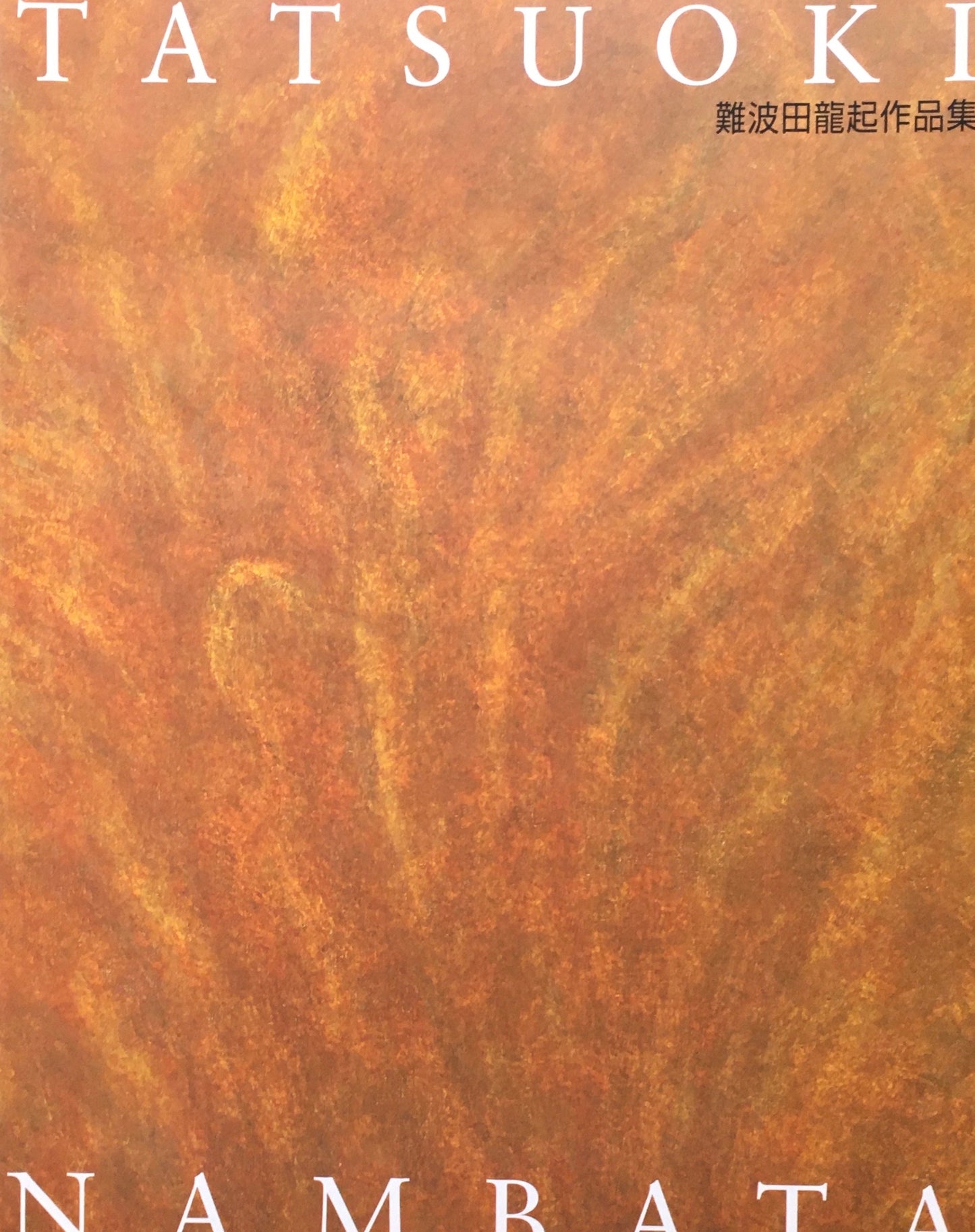 難波田史男・龍起作品集 2冊揃