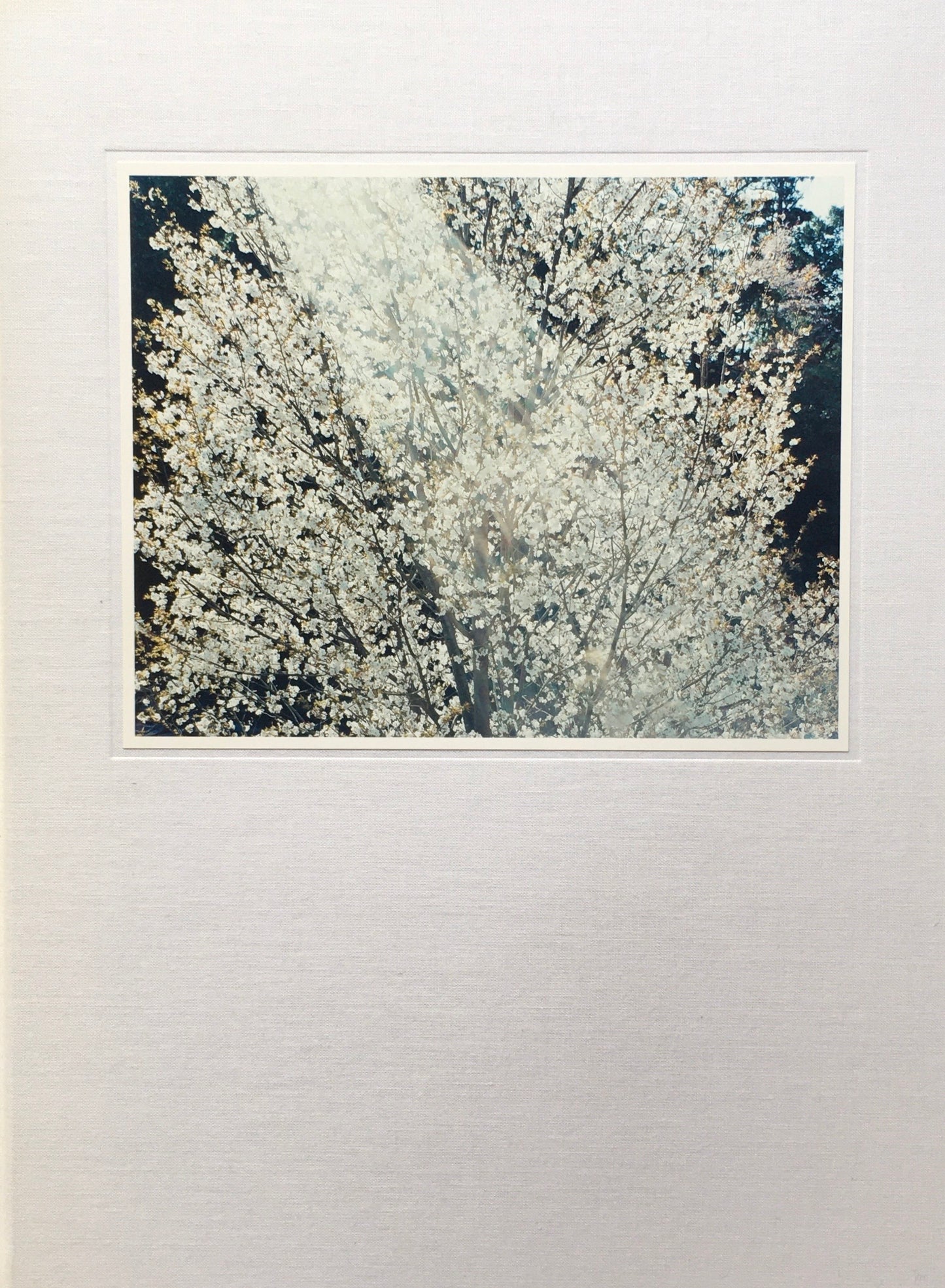 意識の流れ 鈴木理策写真展