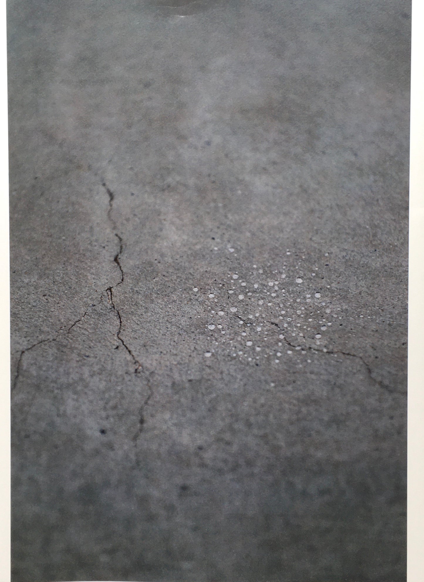 内藤礼 うつしあう創造