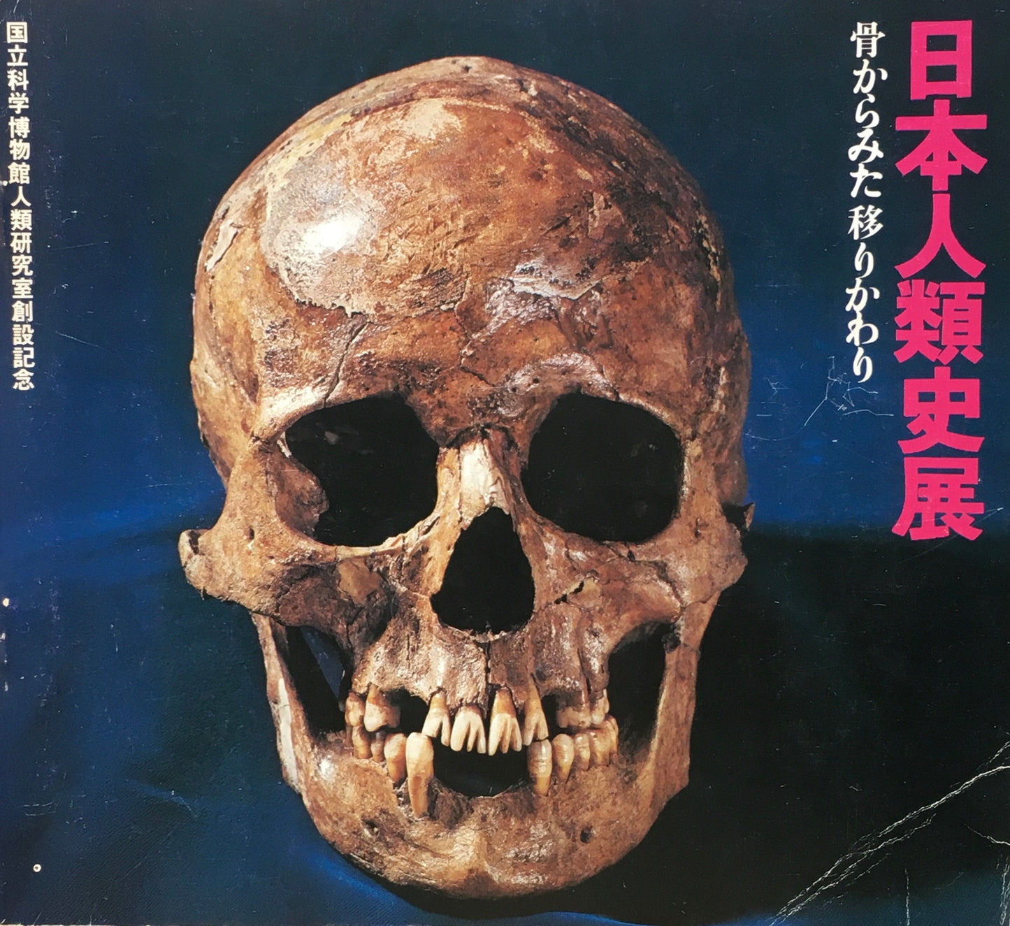 日本人類史展 骨からみた移りかわり 国立科学博物館人類研究室創設記念