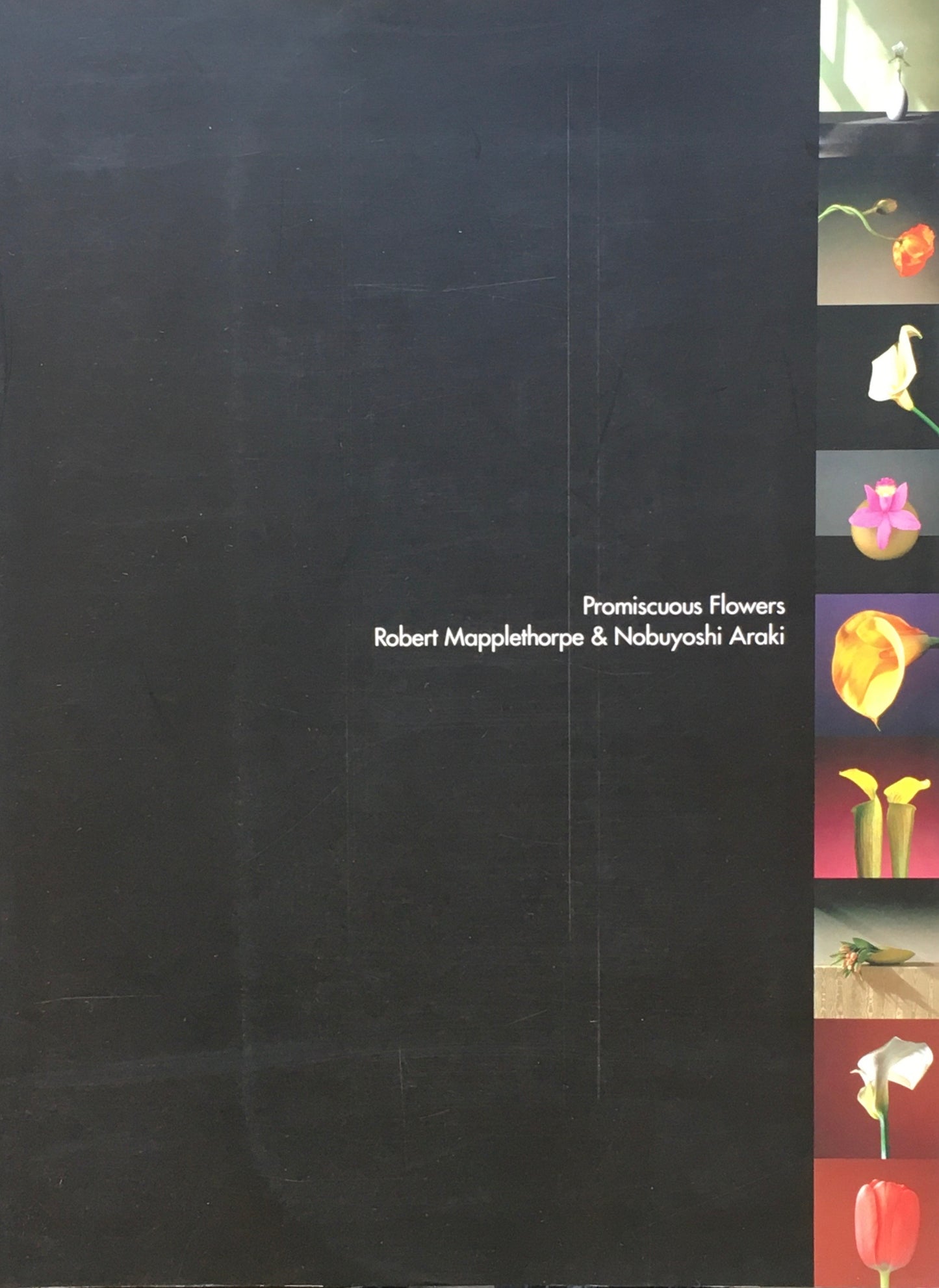 百花乱々展 メイプルソープ&アラーキー Robert Mapplethorpe&Nobuyoshi Araki