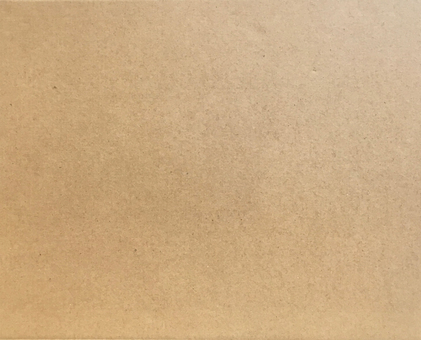 大きな屋根建てる 釜石市民ホールTETTO 2013-2019 奥山淳志 ヨコミゾマコト