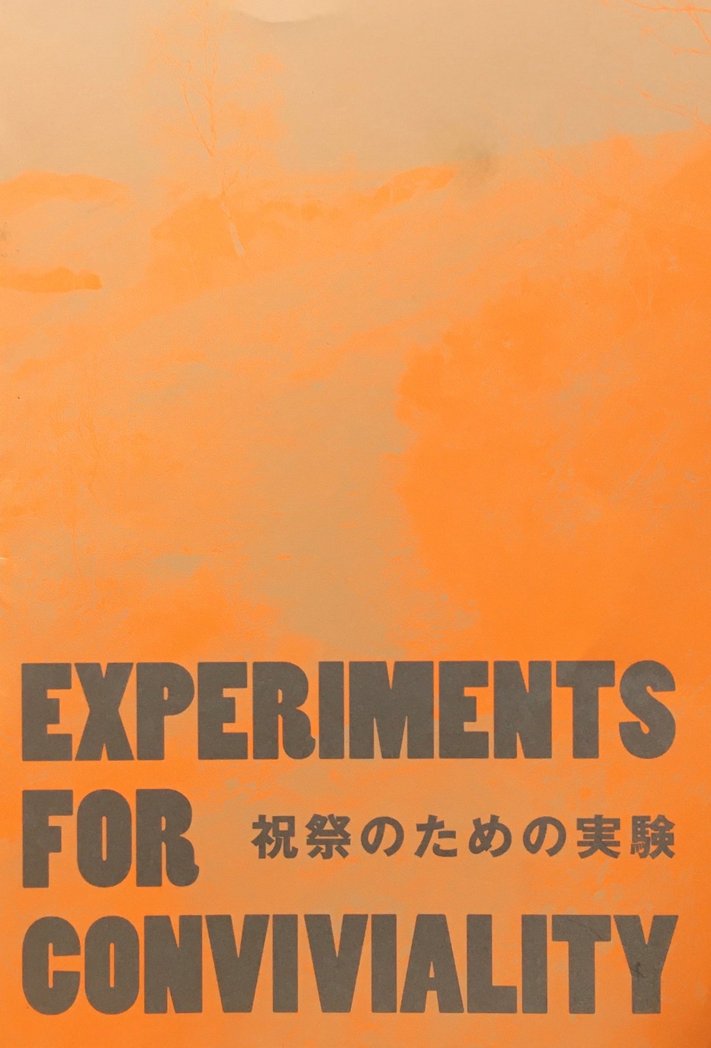 祝祭のための実験 住友文彦