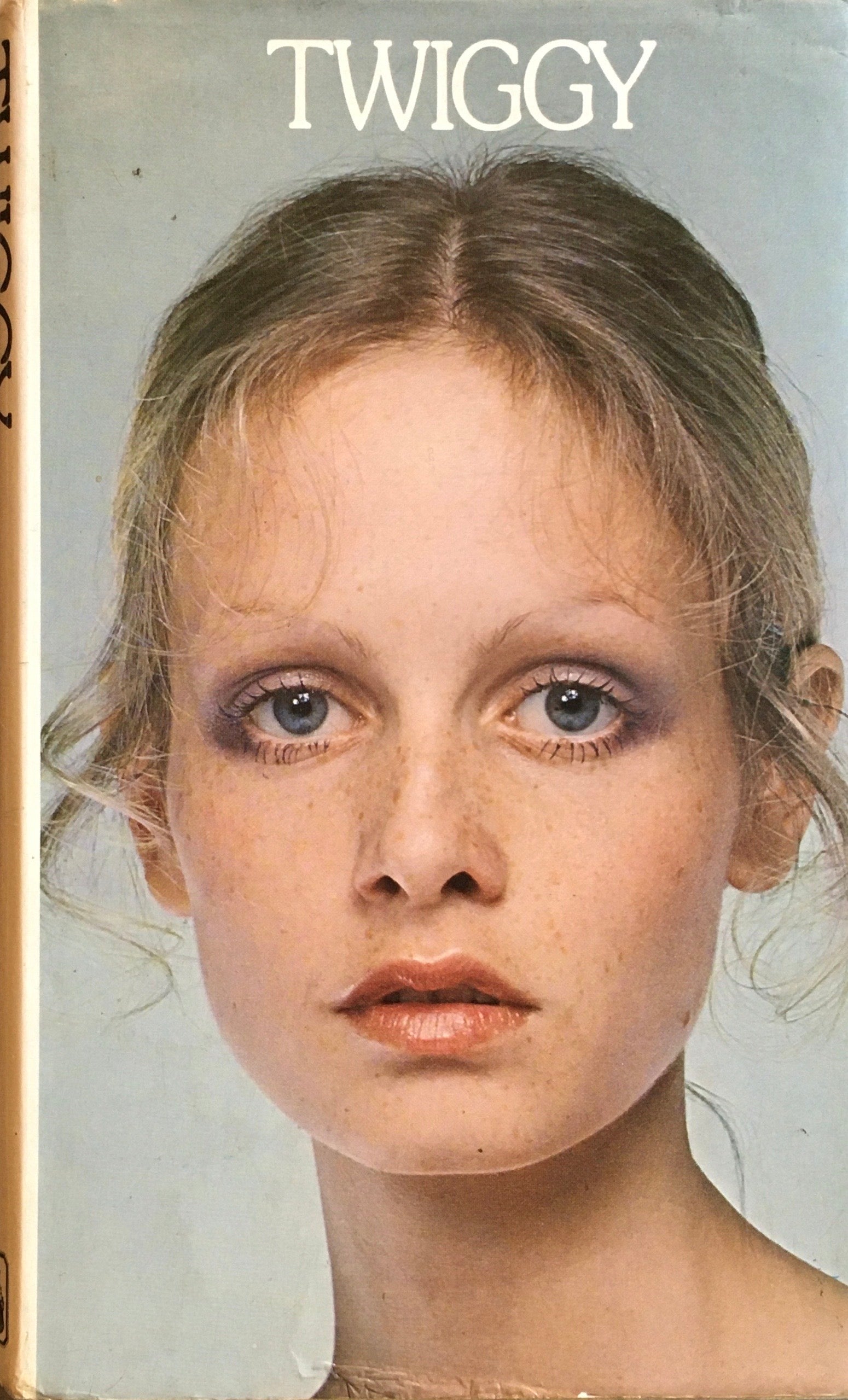 twiggy TWIGGY an auto biography – smokebooks shop