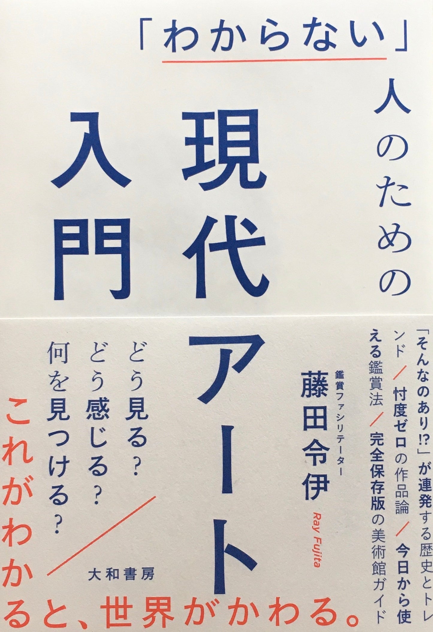 「わからない」人のための現代アート入門 どう見る?どう感じる?何を見つける? 藤田令伊