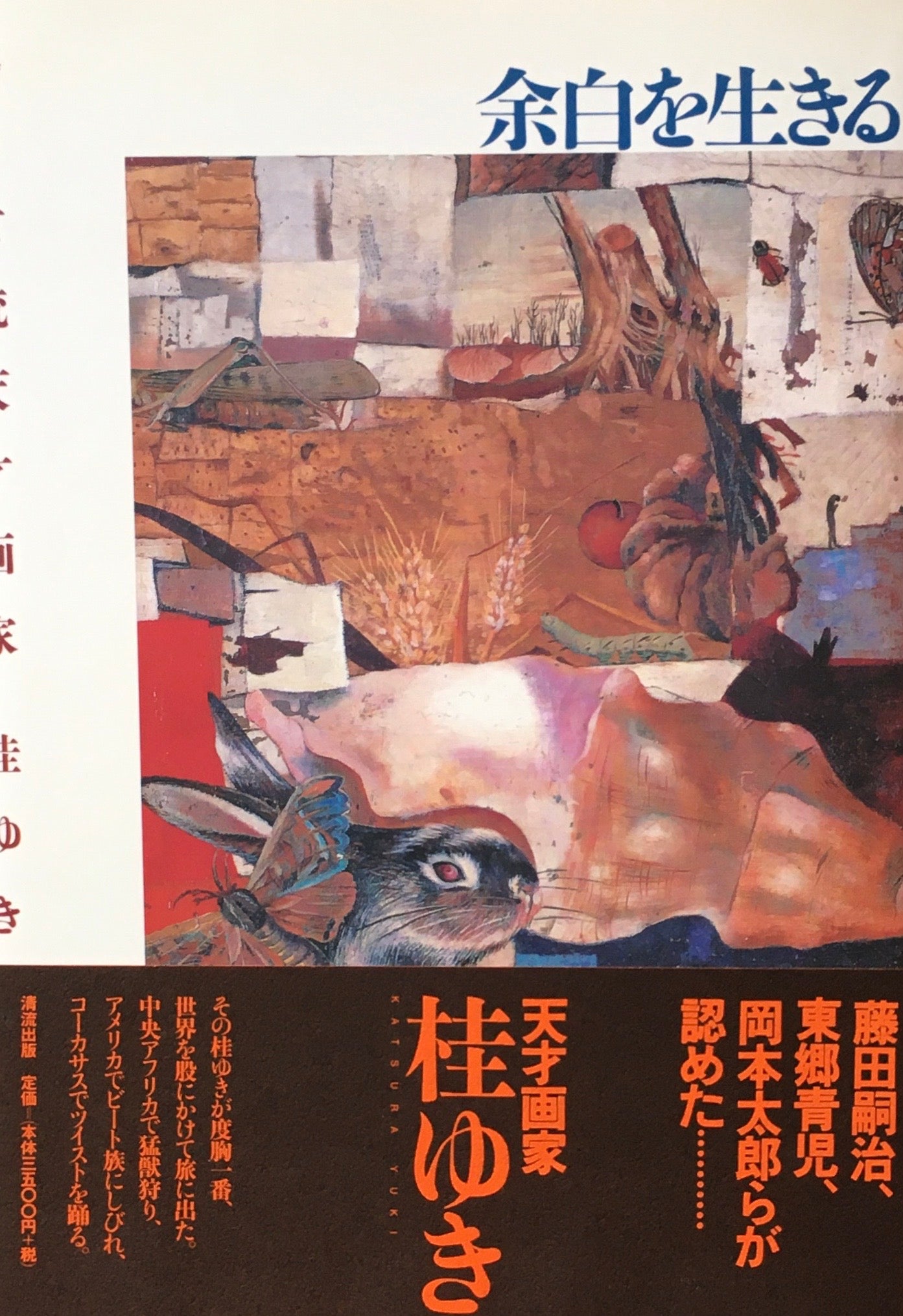 余白を生きる 甦る女流天才画家 桂ゆき