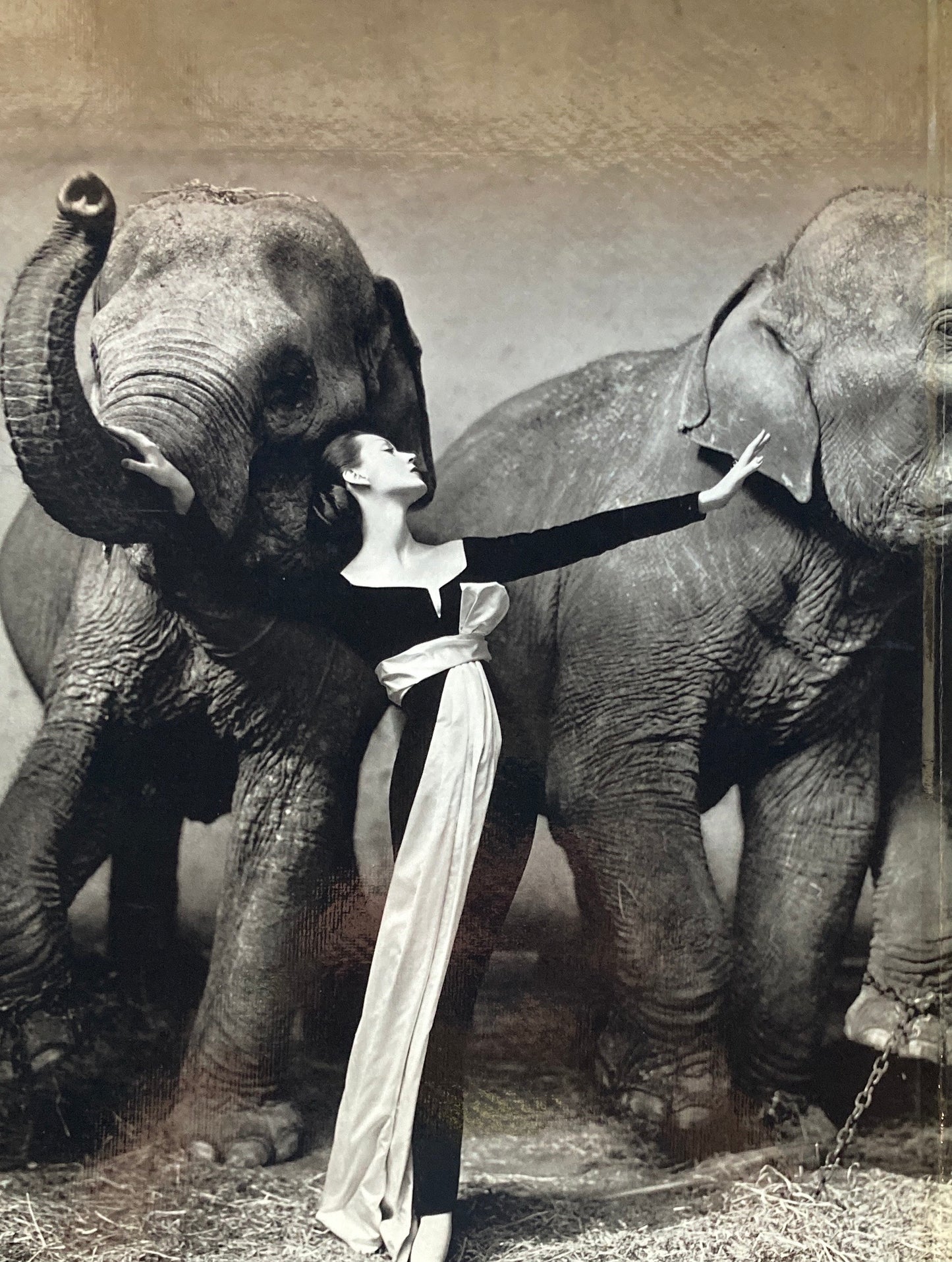 PHOTOGRAPHS 1947-1977 AVEDON リチャード・アヴェドン