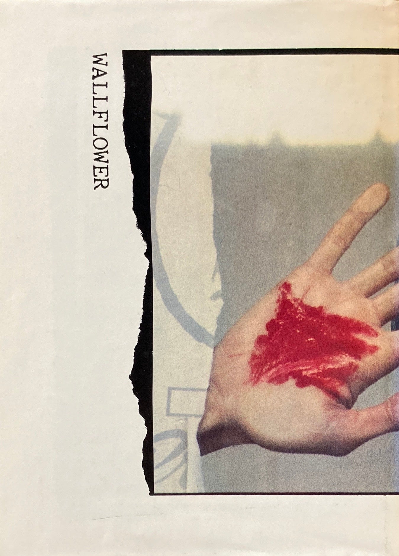 Wallflower Deborah Turbeville デボラ・ターバヴィル