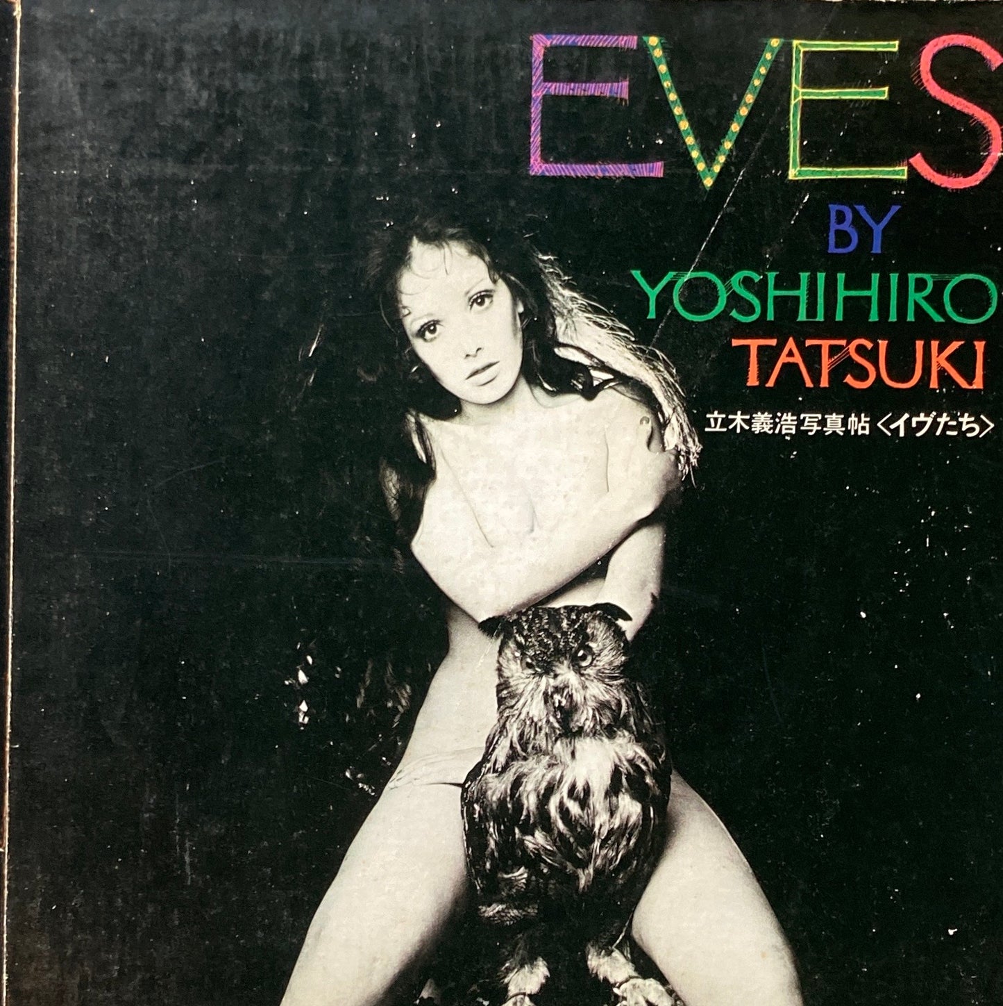EVES イヴたち 立木義浩写真帖