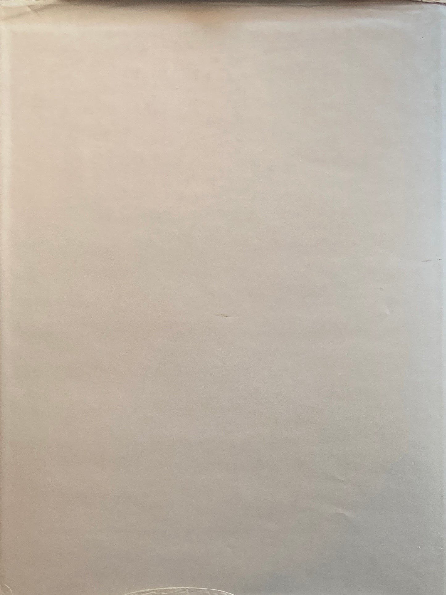 Hiro  Edited by Richard Avedon