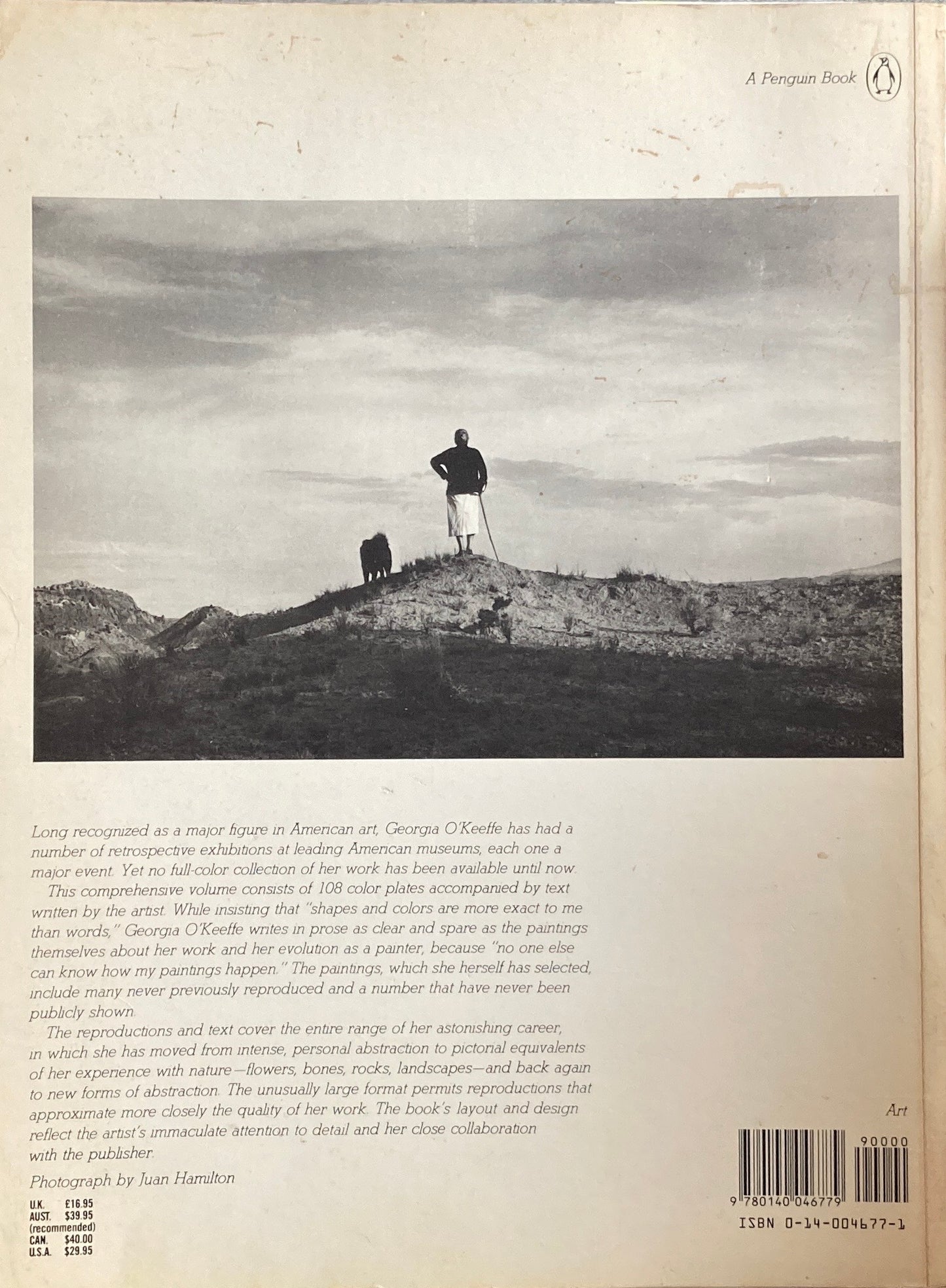 Georgia O'Keeffe A Penguin Book オキーフ画集