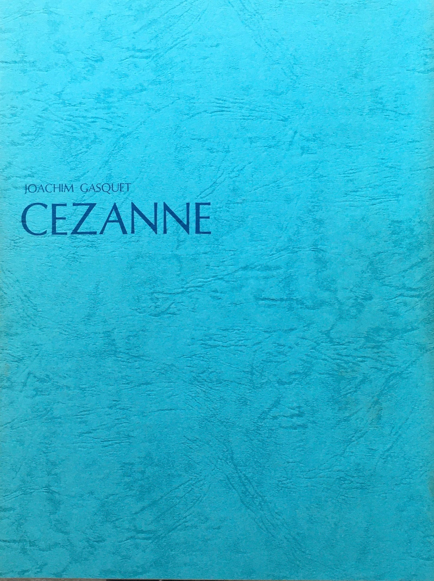 セザンヌとの対話 ジョアキム・ギャスケ 函欠け
