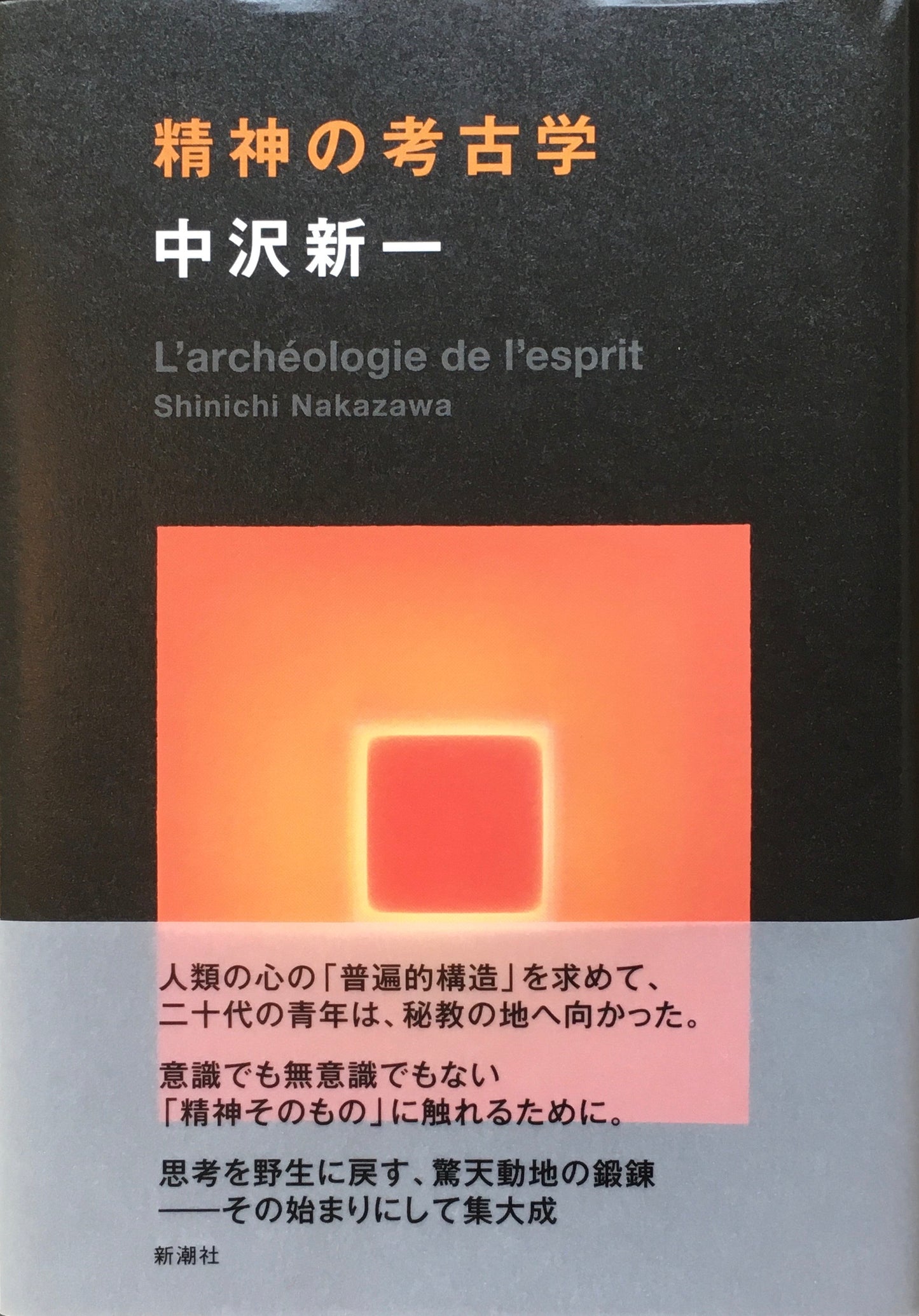 精神の考古学 中沢新一