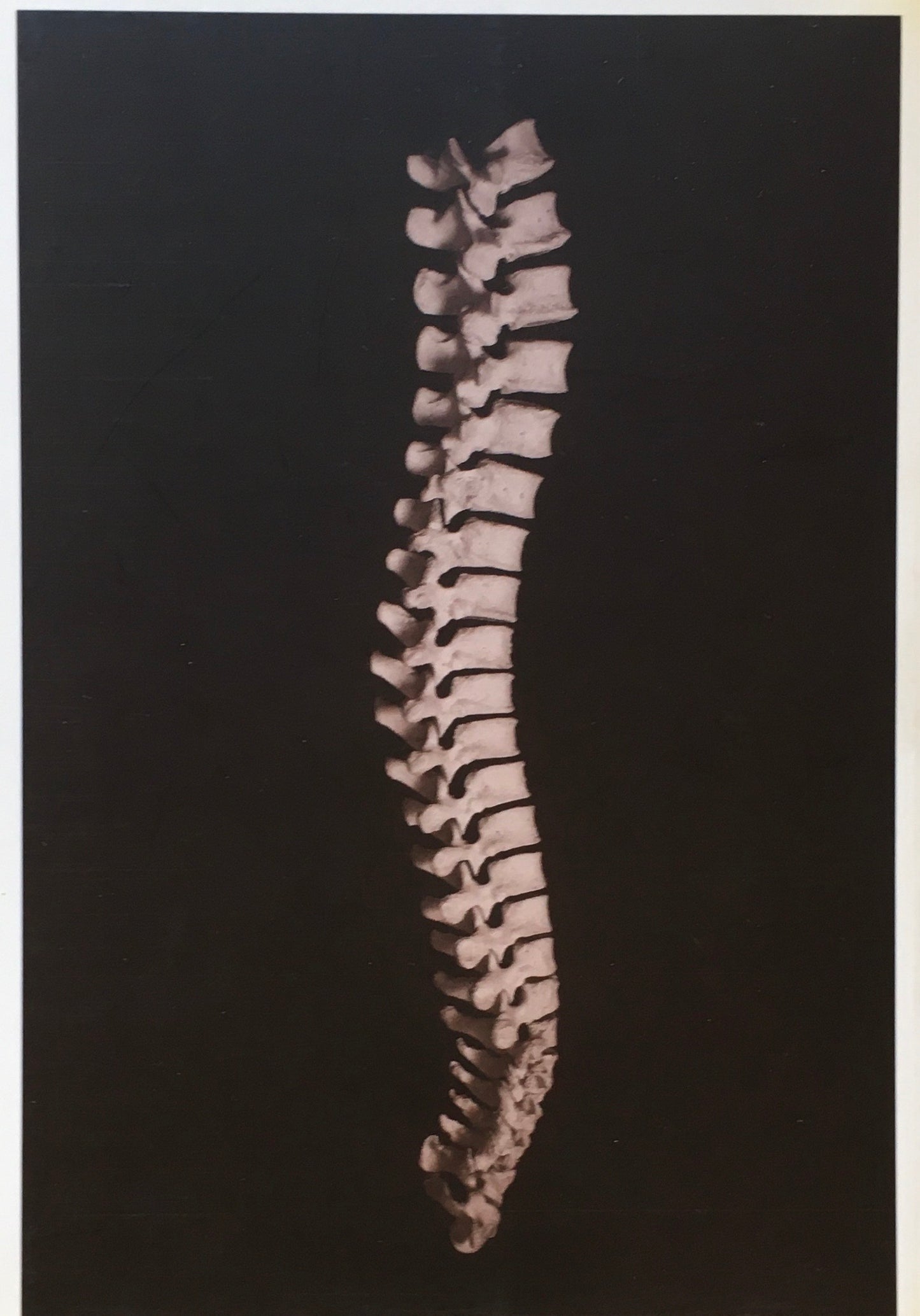 The Body Photographs of the Human Form William A. Ewing