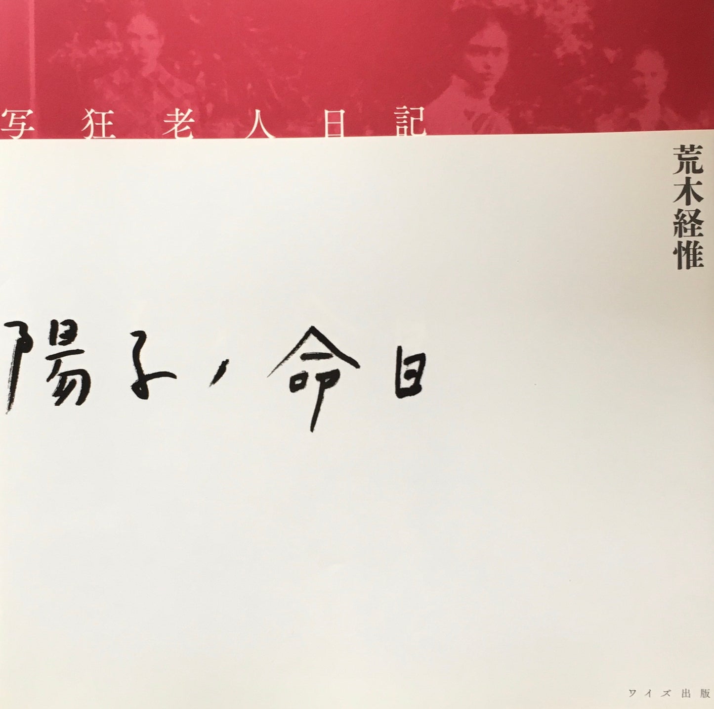 写狂老人日記 陽子ノ命日 荒木経惟