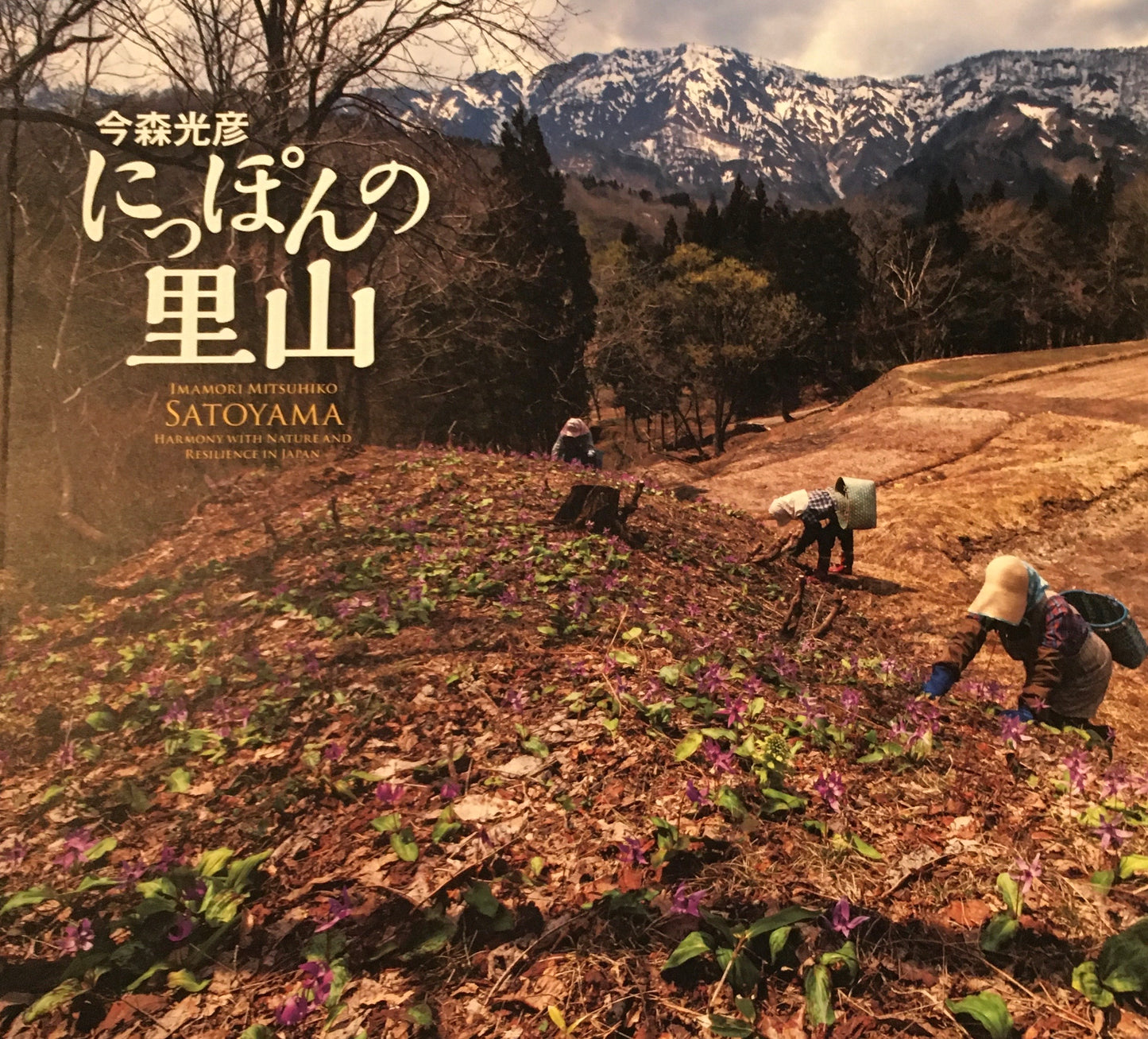 にっぽんの里山 今森光彦