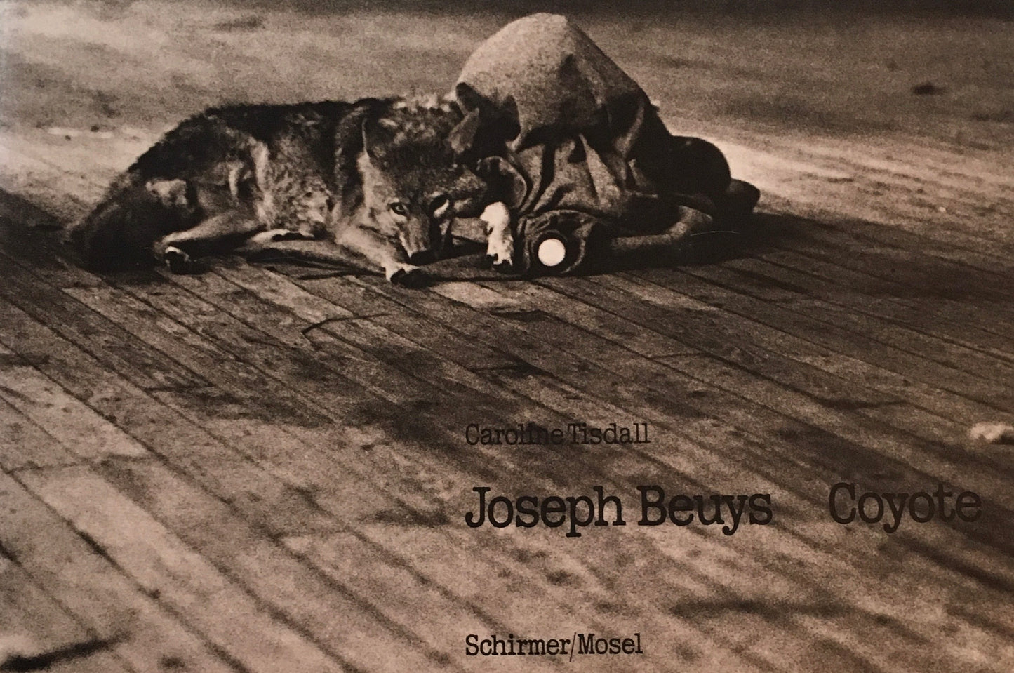 Coyote Joseph Beuys ヨーゼフ・ボイス