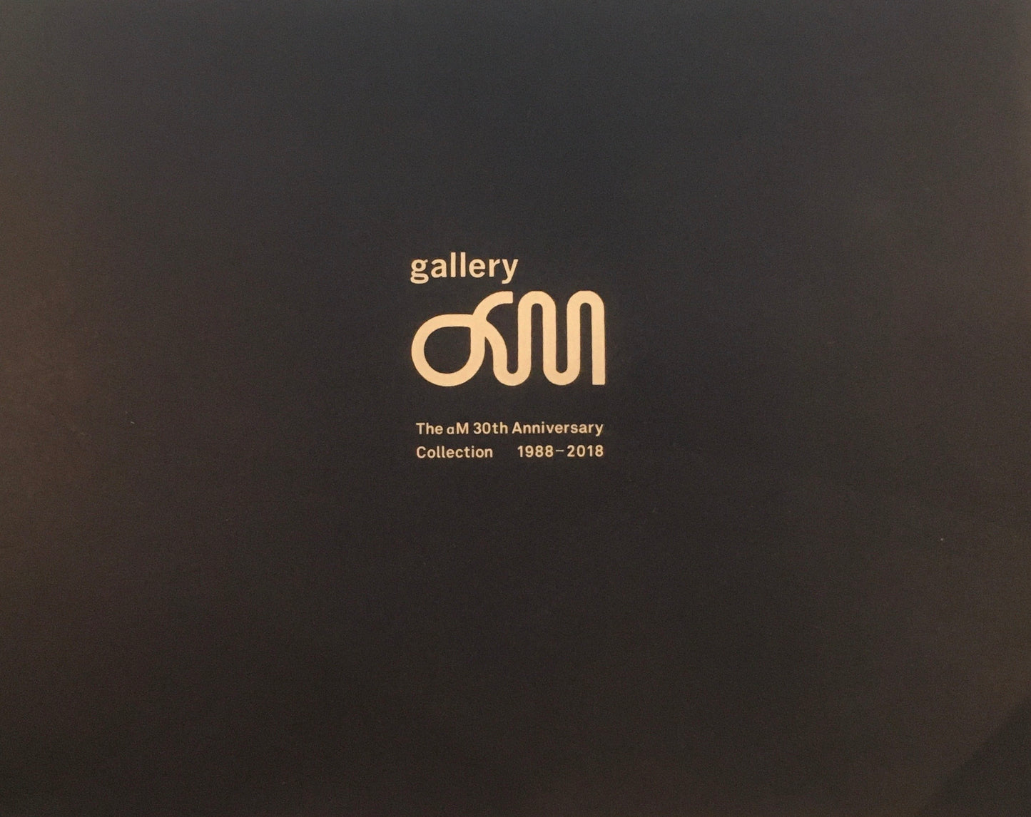 ギャラリーαM GalleryαM 30周年記録集 1998‐2018
