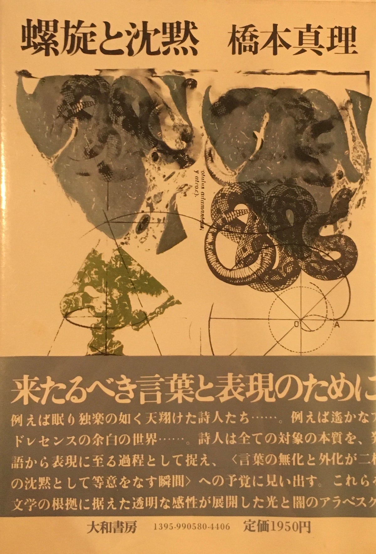 螺旋と沈黙 橋本真理