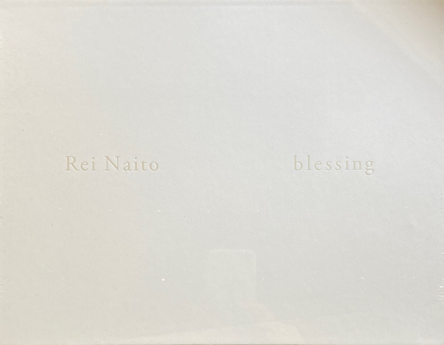 blessing 祝福 内藤礼