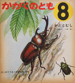 かぶとむし 小林勇 かがくのとも29号 1971年8月号