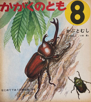 かぶとむし 小林勇 かがくのとも29号 1971年8月号