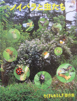 ノイバラと虫たち 藤丸篤夫 たくさんのふしぎ傑作集