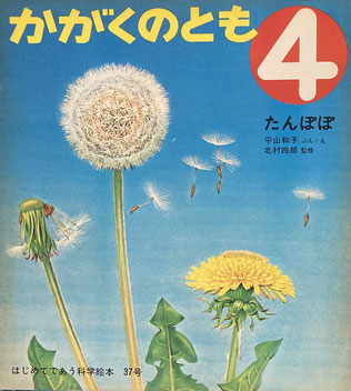 たんぽぽ 平山和子 かがくのとも37号 1972年4月号