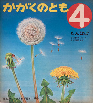 たんぽぽ 平山和子 かがくのとも37号 1972年4月号