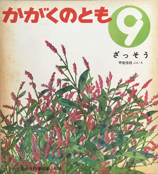 ざっそう 甲斐信枝 かがくのとも 42号 1972年9月号