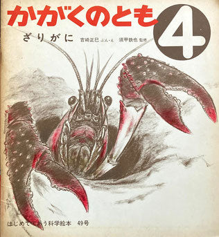 ざりがに 吉崎正巳 かがくのとも49号 1973年3月号