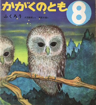 ふくろう 市成太煌 かがくのとも53号 1973年8月号