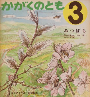 みつばち 小林勇 かがくのとも12号 1970年3月号