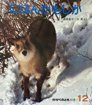 にほんかもしか 高橋喜平・浜昇 かがくのとも81号 1975年12月号