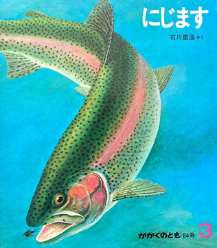 にじます 石川重遠 かがくのとも84号 1976年3月号