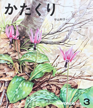 かたくり 平山和子 かがくのとも96号 1977年3月号