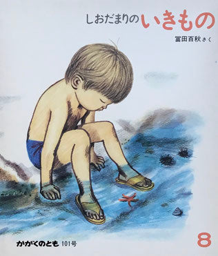しおだまりのいきもの 冨田百秋 かがくのとも101号 1977年8月号