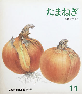 たまねぎ 花田弥一 かがくとのとも104号 1977年11月号