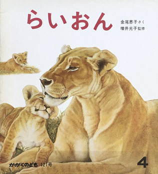 らいおん 金尾恵子 かがくのとも121号 1979年4月号