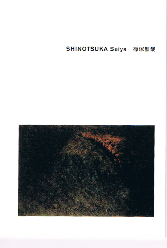 SHINOTSUKA Seiya 篠塚聖哉 ANDO GALLERY