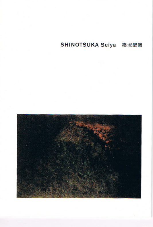 SHINOTSUKA Seiya 篠塚聖哉  ANDO GALLERY