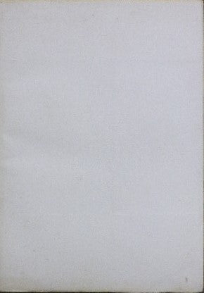 青蜥蜴の夢 土方久功