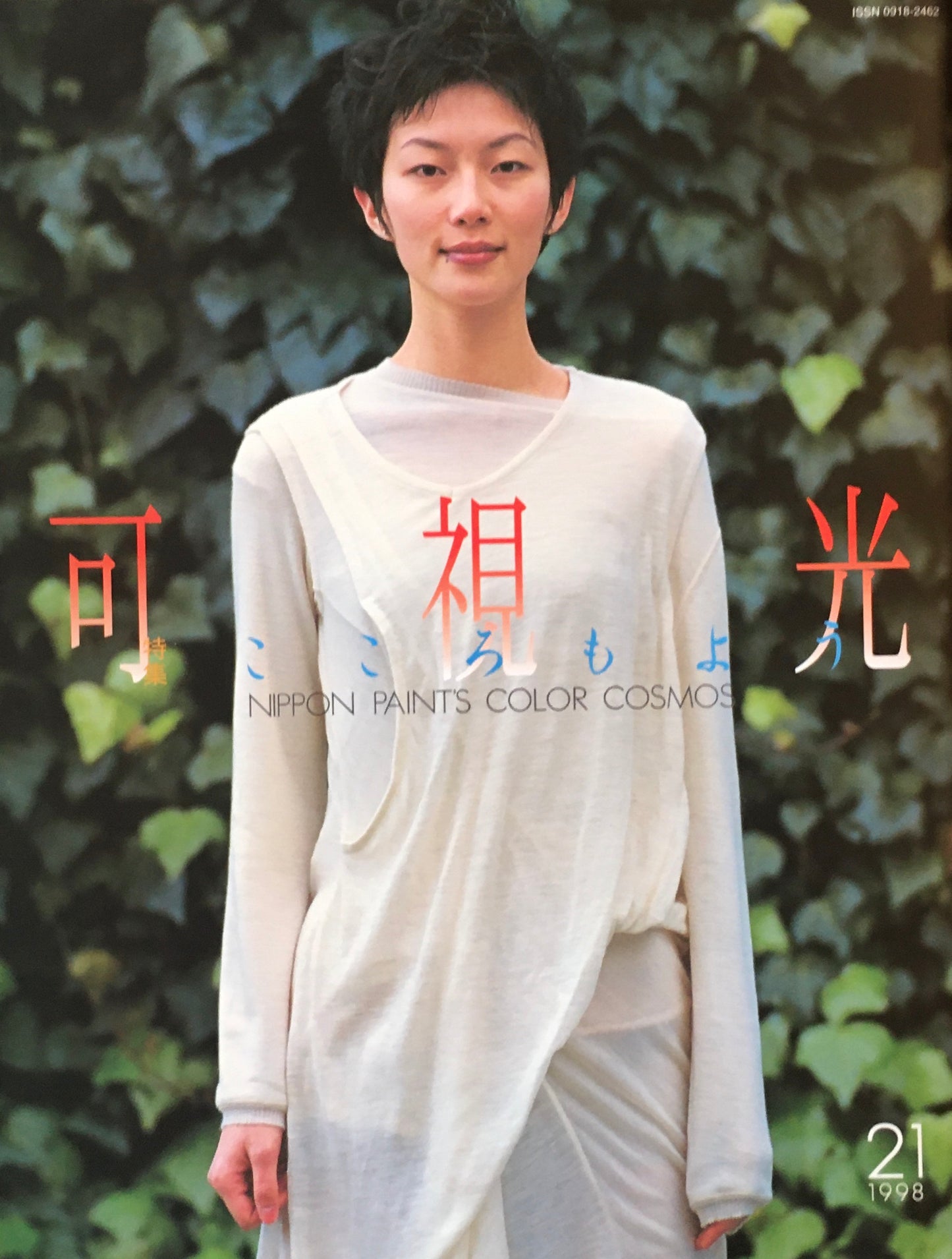 可視光 特集こころもよう 21号 1998年 日本ペイント