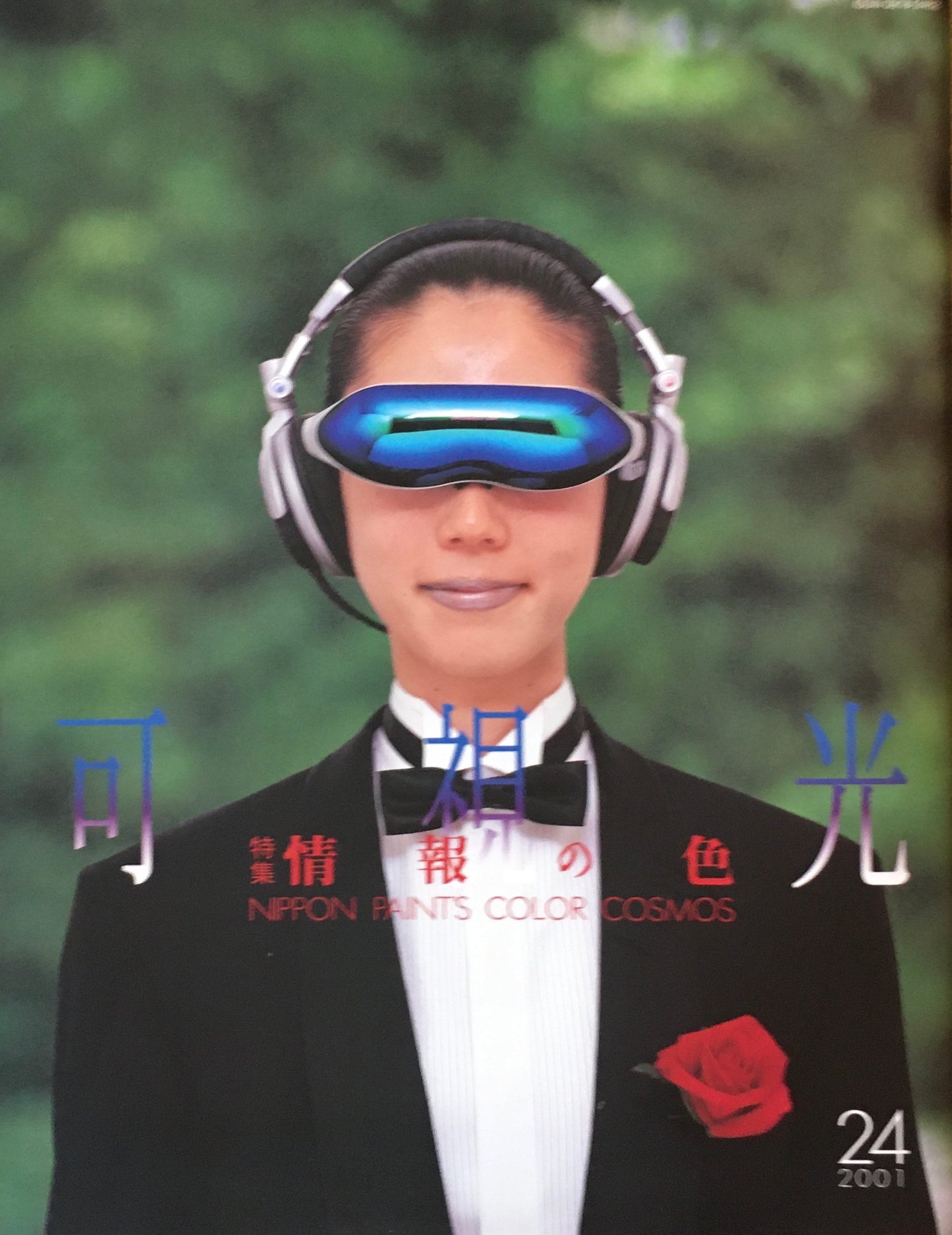 可視光 特集情報の色 24号 2001年 日本ペイント
