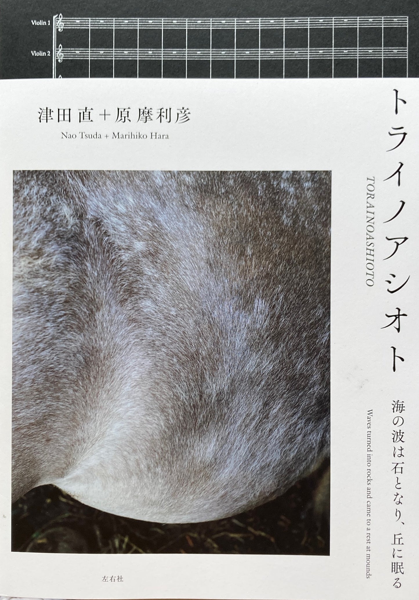 トライノアシオト 津田直+原摩利彦 Nao Tsuda + Marihiko Hara