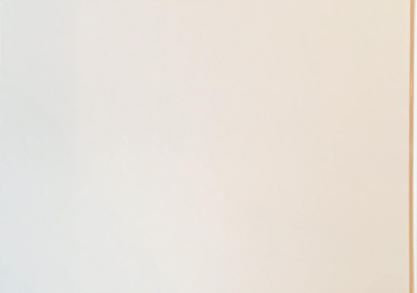 ダレオド 中川正子写真集