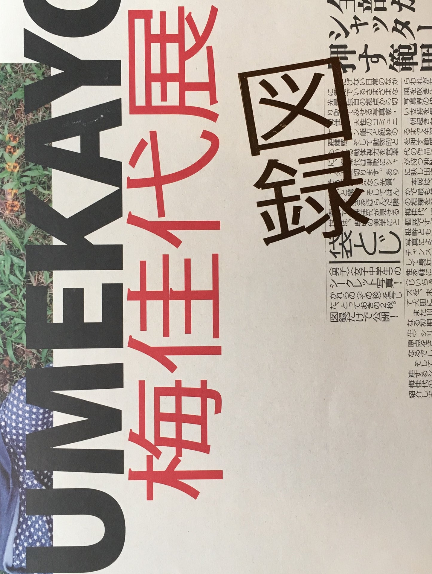 梅佳代展 UMEKAYO 2013