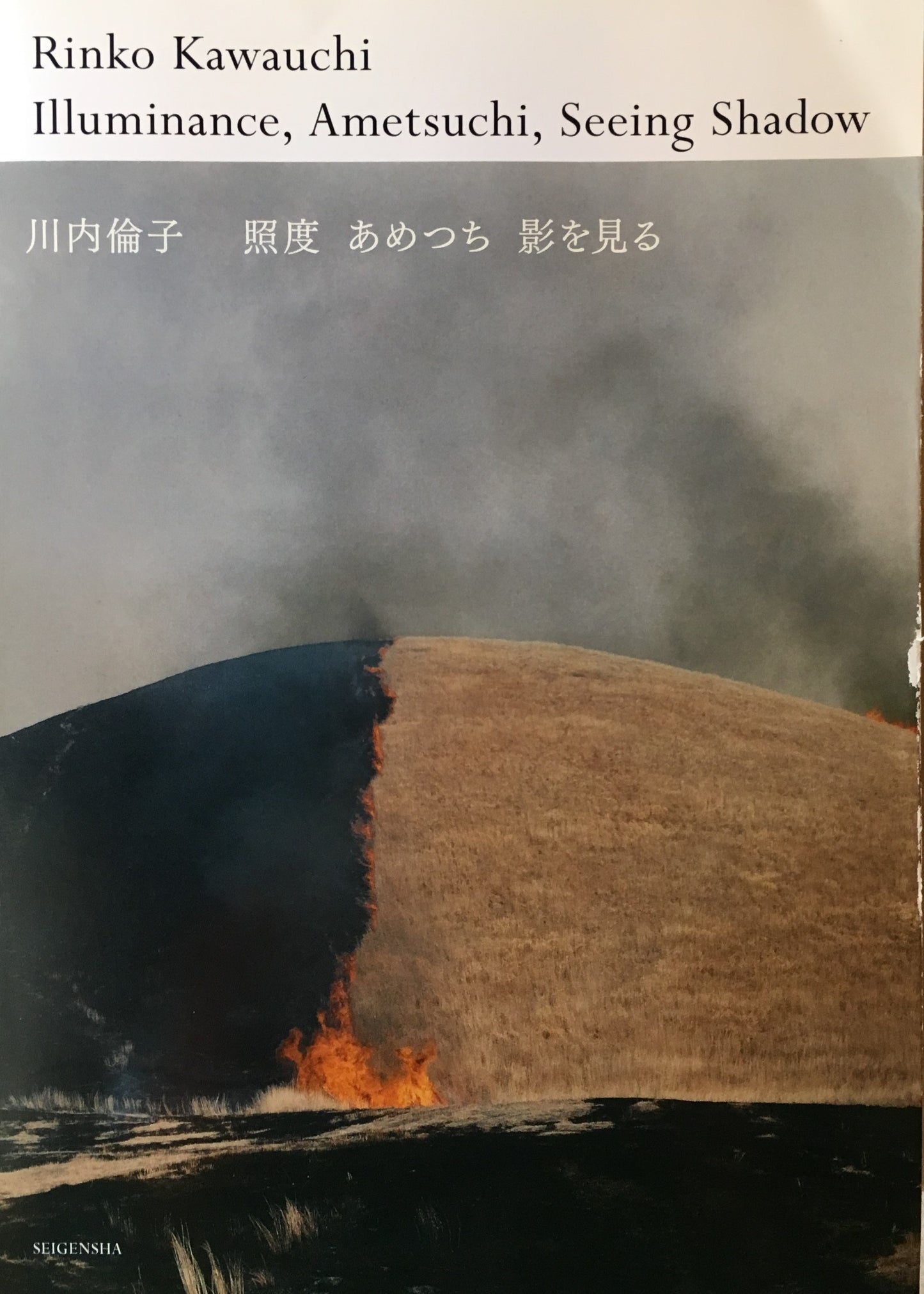 川内倫子 照度 あめつち 影を見る