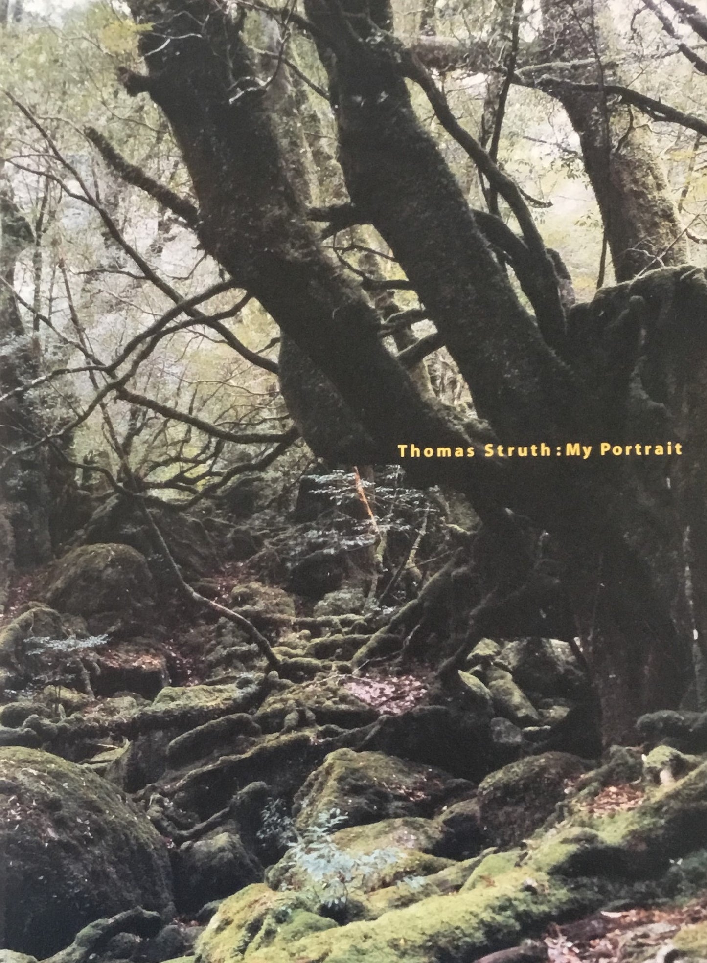 Thomas Struth My Portrait トーマス・シュトゥルート 東京国立近代美術館